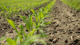 Corteva Agriscience launches new above-ground nitrogen stabilizer