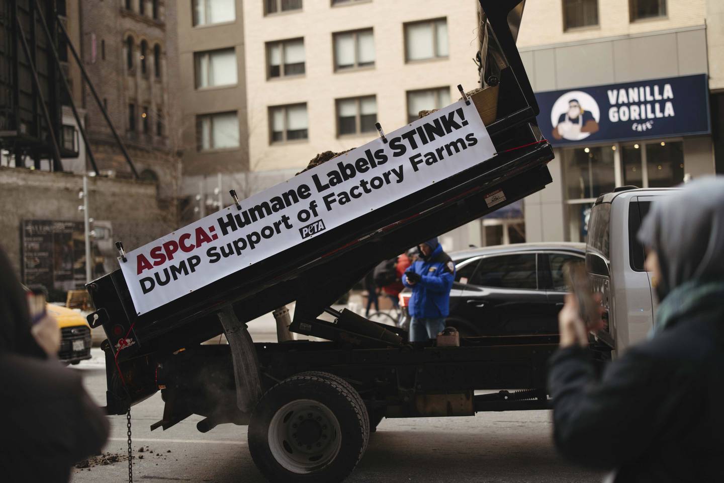 A dump truck filled with frozen manure sits on a street outside the offices of the American Society for the Prevention of Cruelty to Animals in New York.