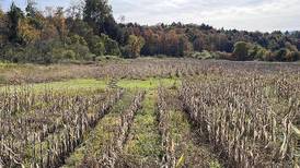NRCS unveils new easement option