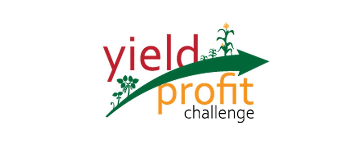 Yield Profit Challenge