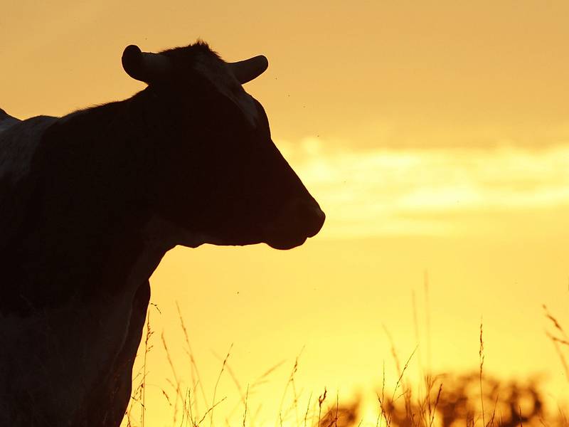 2026 Illinois AgSource Directory