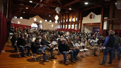 2026 Illinois Performance Tested Bull Sale returns record-high results