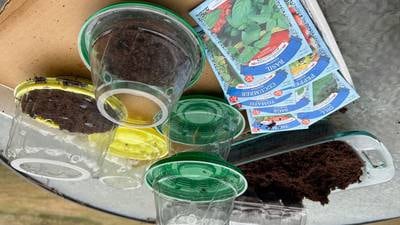 How to save money on garden gear with some creative recycling