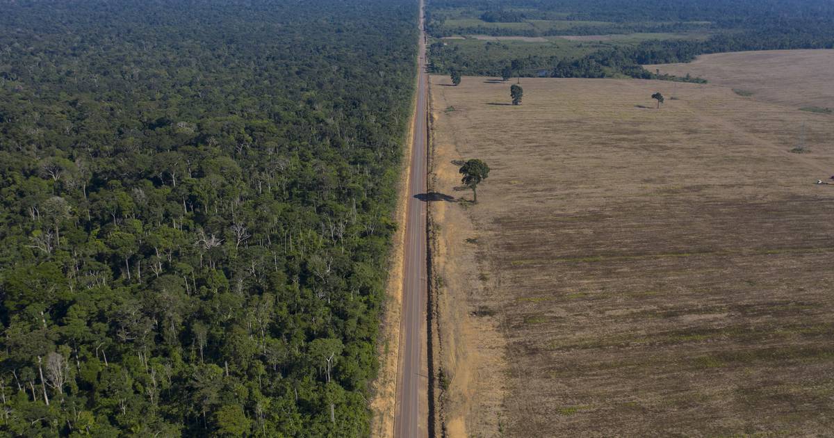 What Brazil’s soy moratorium fight means — and what happens next