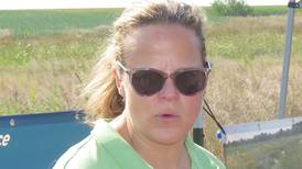 Constructed wetlands meet expectations