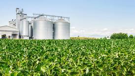 Strong dollar, policy uncertainty could slow demand for U.S. corn, soybeans