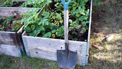 Calendar: Nursery School offers lessons in gardening