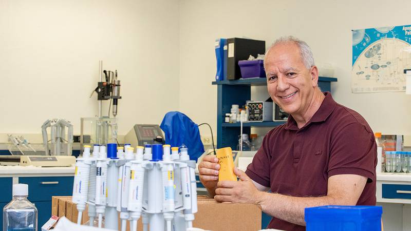 Southern Illinois University professor Khalid Meksem showcases the seeds developed by his research.