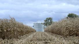 Balance sheets shift to higher stocks