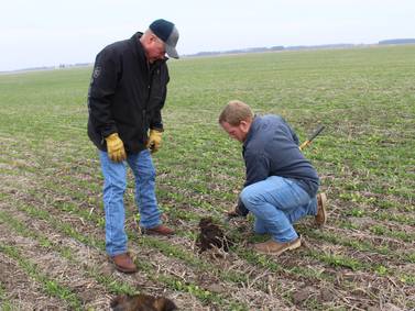 Trying various techniques helps farmers make decisions for 2026 growing season