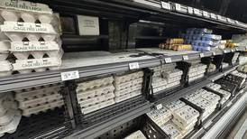 U.S. egg giant Cal-Maine says government is investigating price increases