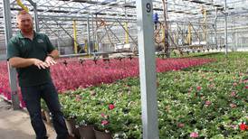 Tour gives Illinois Agri-Women glimpse into flower and flour production