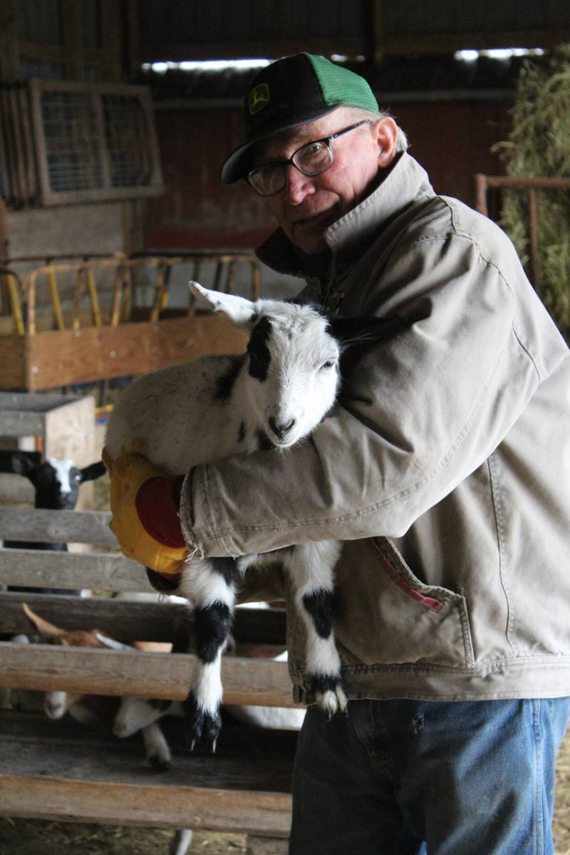 David Boelkens holds one of his fainting goats at his Carroll County farm in northwest Illinois. The Army veteran was drafted in 1967 and was stationed for a year in Vietnam as a radio technician fixing radios and equipment for his fellow servicemen.