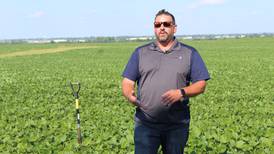 Research plots provide information on various products, practices