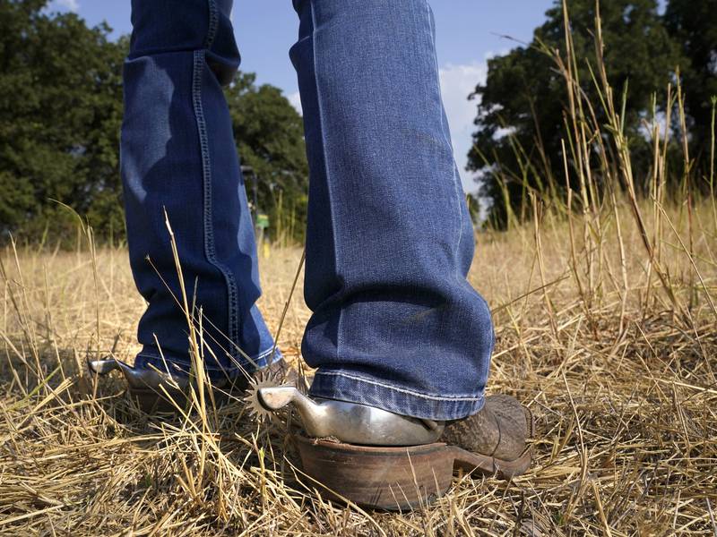 Wintertime is decision time on grazing