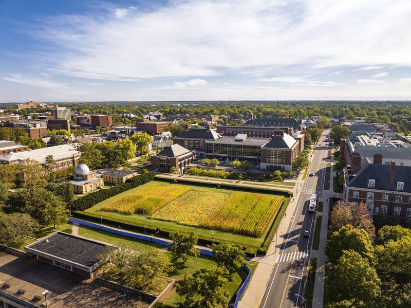 The Morrow Plots are named after the first dean of the College of Agriculture at the University of Illinois, George E. Morrow. Established in 1876, the plots are the oldest experimental crop field in America and the second oldest in the world, after the Rothamsted research station in England, established in 1843.