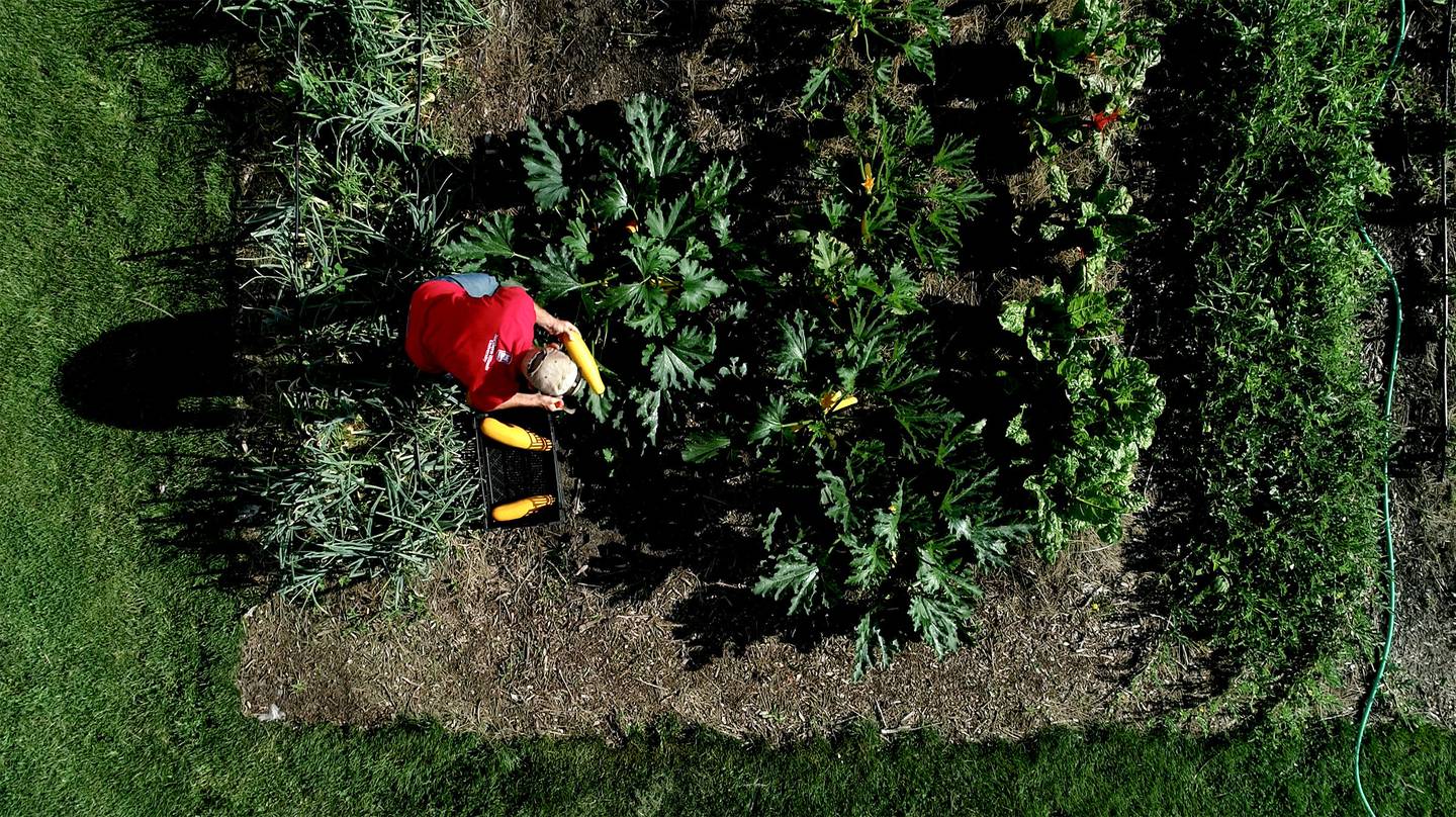 The Edible Campus program broke ground in 2023 on more than 100 raised beds throughout the Northern Illinois University campus, as well as the 5,000-square-foot Anderson Market Garden.