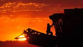 Small changes in crop balances with pending trade shifts