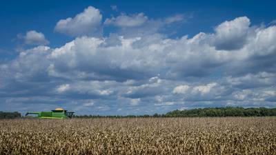 The AgriNews AgriMinute podcast: Agricultural economy at a crossroads