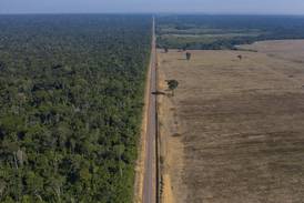 What Brazil’s soy moratorium fight means — and what happens next