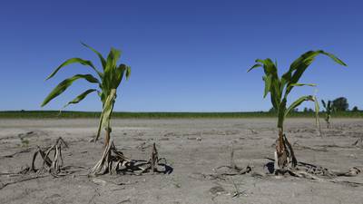 39 Illinois counties designated disaster areas