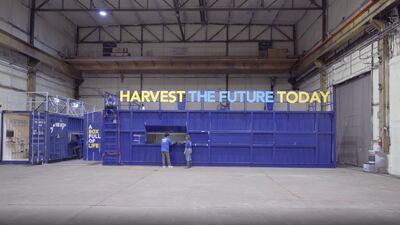 Shrimp farm celebrates spring harvest