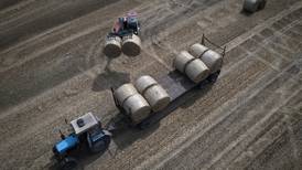 Ukraine farmers resilient in war’s shadow
