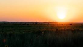 2025 in review: How agriculture persevered through challenges this year