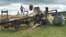 Vintage farming on full display at threshing bee