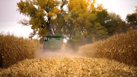 Field of Corn: NCGA announces photo contest winners