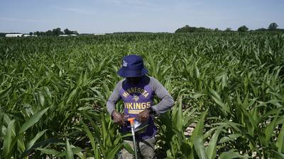 Scientists shielding farming from climate change need more public funding