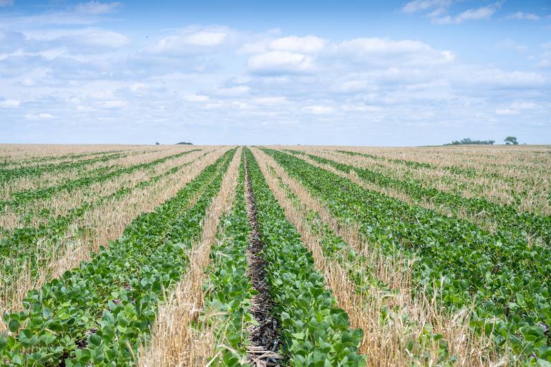 The farmer-led, farmer-driven Farmers for Soil Health initiative offers cost-share programs and technical assistance to farmers in 20 states who plant cover crops for three years.