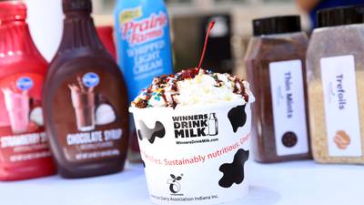 Ice cream for a cause: Over $7,000 raised for nonprofit
