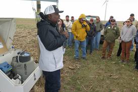 Conservation in action at research site
