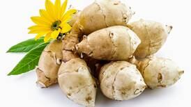 Kitchen Diva: Jerusalem artichokes are culinary treasure