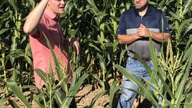 Beck’s, Insignum AgTech team up