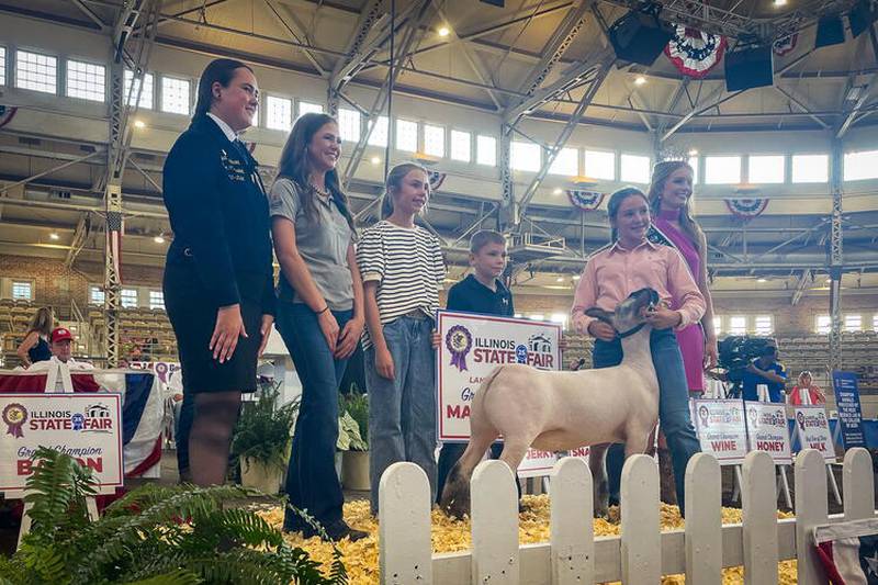 Olive Ryan of Christian County exhibits the Land of Lincoln Grand Champion Market Lamb at the 2025 Illinois State Fair Sale of Champions.