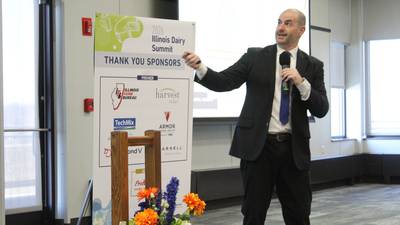 Adding hybrid rye to dairy rations could reduce costs