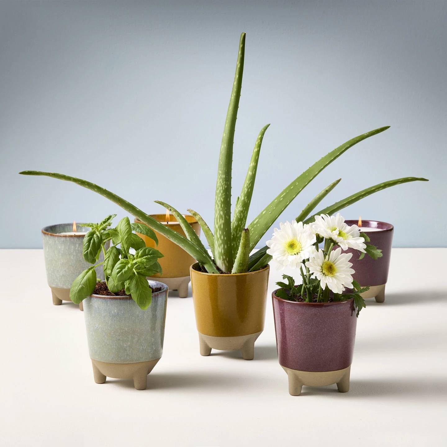This image provided by Modern Sprout shows a collection of Glow and Grow candles, which can be recycled into planters using their included seed packs after they burn out.