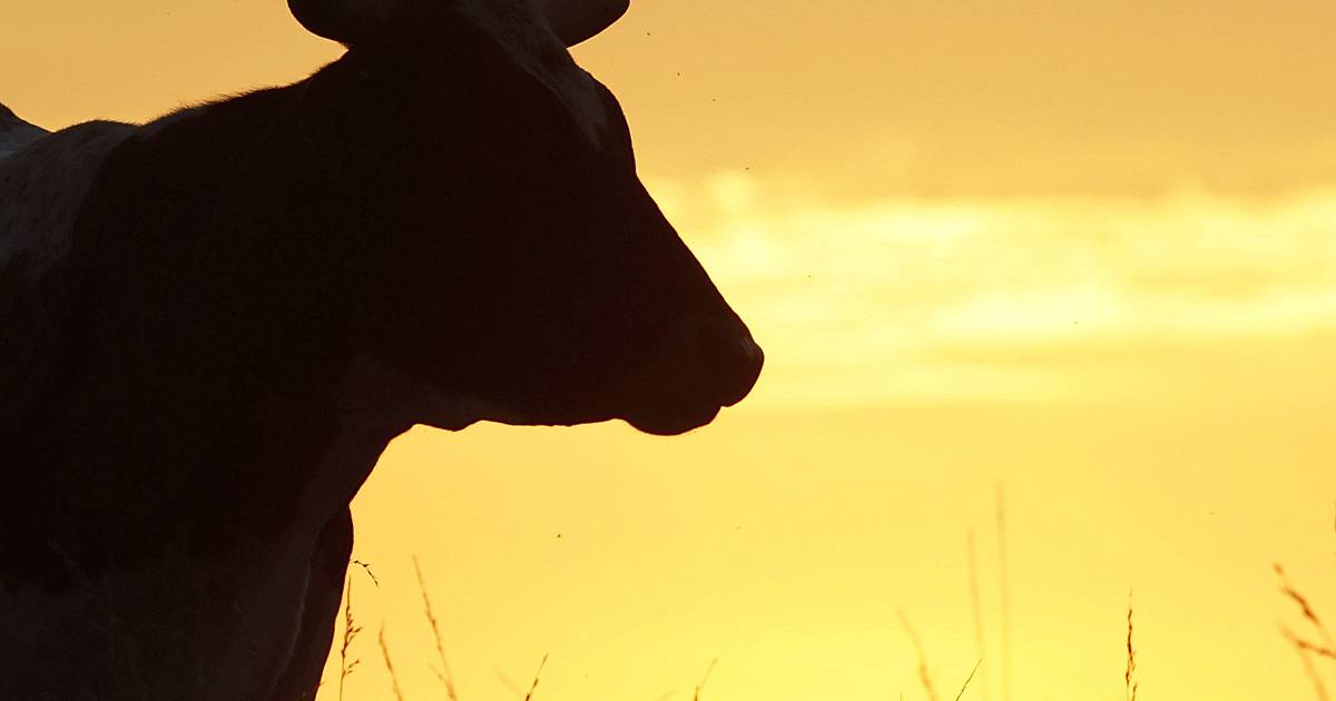 2026 Illinois AgSource Directory