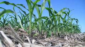Management tools ease no-till practices