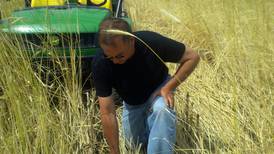 Farm Advisors: A look back at how no-till and cover crops have improved my operation