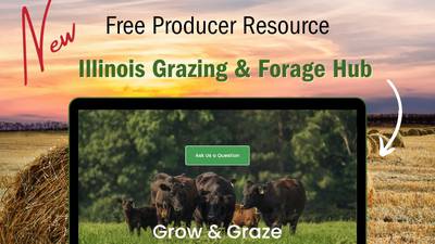 ILGLC launches online grazing and forage resource hub