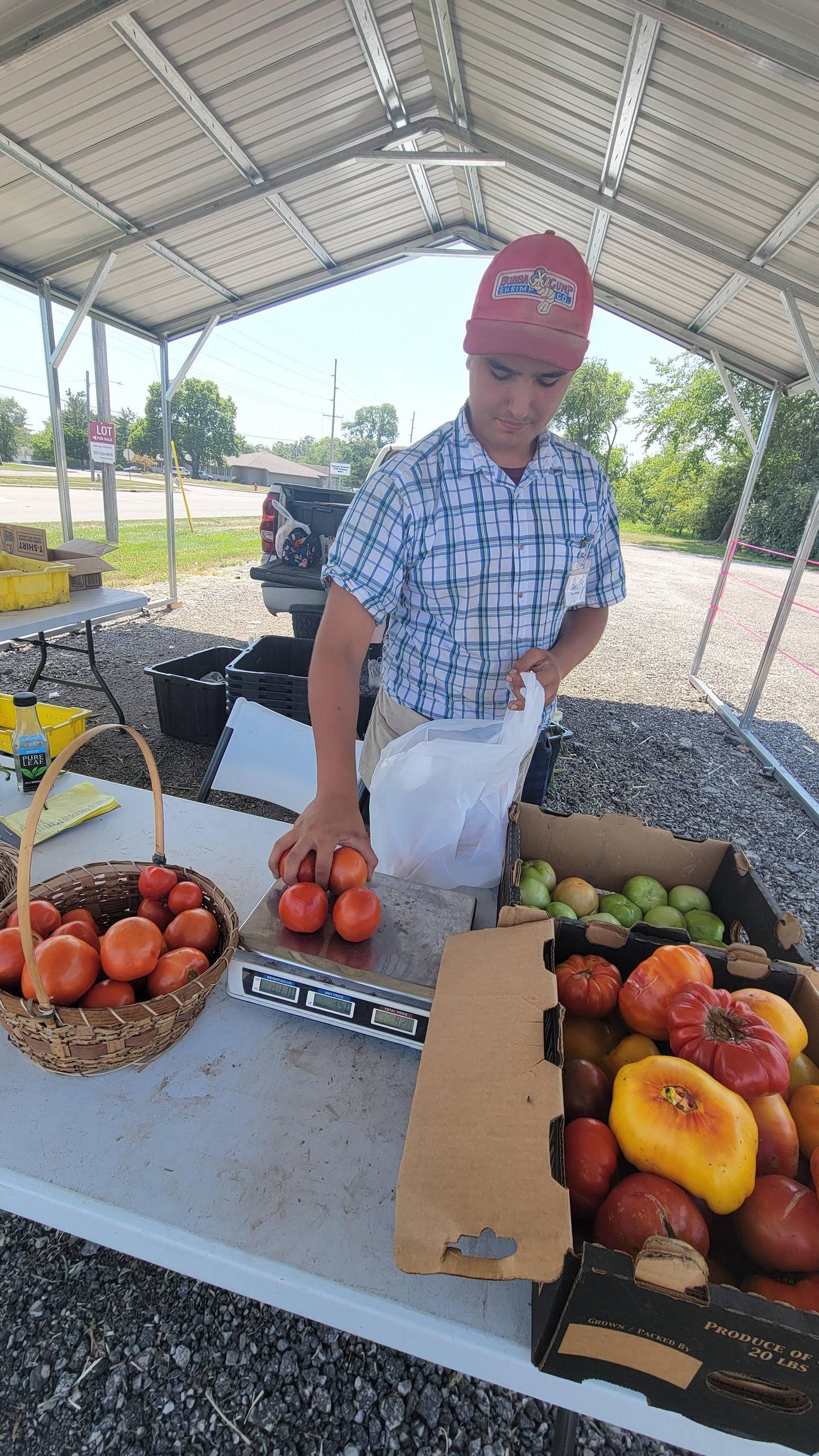 Gehrig Bunselmeyer weighs vegetables at the produce stand at Maddox Farm. He also manages the fruit, popcorn and vegetable harvest and production at the farm.