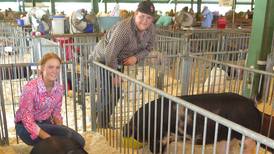 Swine showing spans four generations