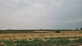 Conservation practices boost farmland value