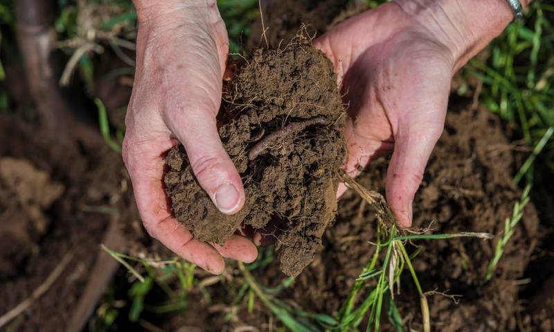 Soil health has always been an important part of the sustainability of a farm.