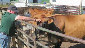 Out-of-state visitors share experiences at Ropp farm