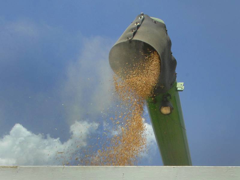 Macon County wheat yield tops 112 bushels per acre