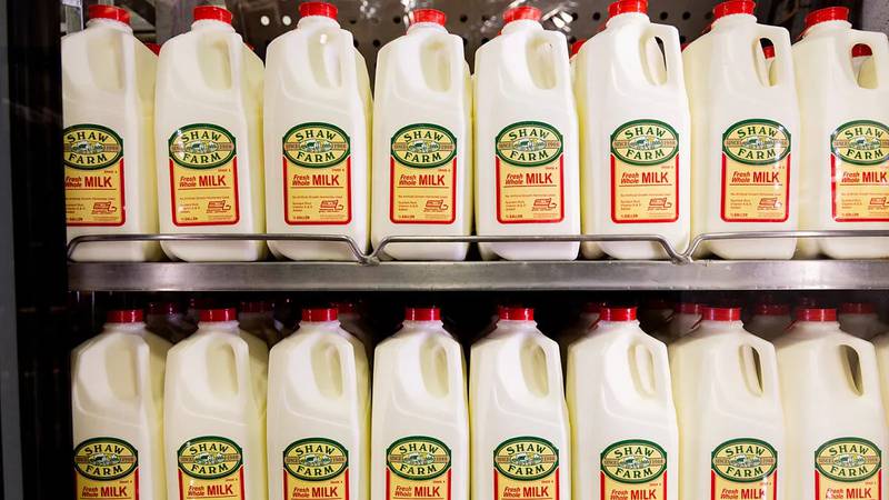 More than a dozen years after higher-fat milk was stripped from school meals to slow obesity in American kids and boost their health, momentum is growing to put it back. Federal lawmakers have revived bills that would allow whole and 2% milk to be served again in schools, in addition to the skim and low-fat milk mandated since 2012.